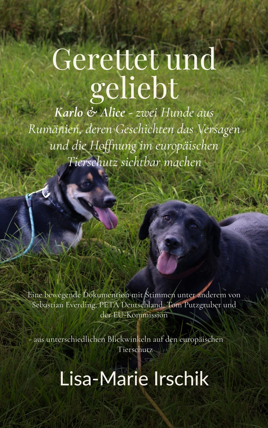 Hund im Glück e. V. – Tierschutzverein – Gerettet und geliebt