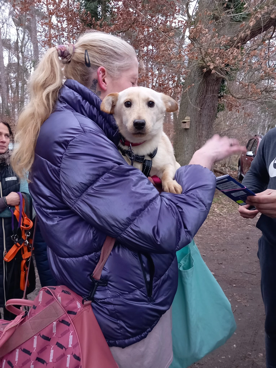 Hund im Glück e. V. – Tierschutzverein – Hunde