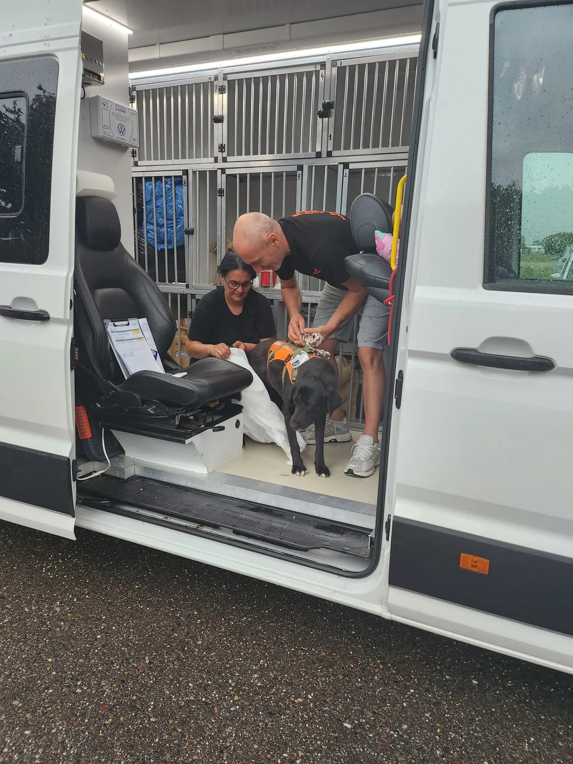 Hund im Glück e. V. – Tierschutzverein – Hunderettung