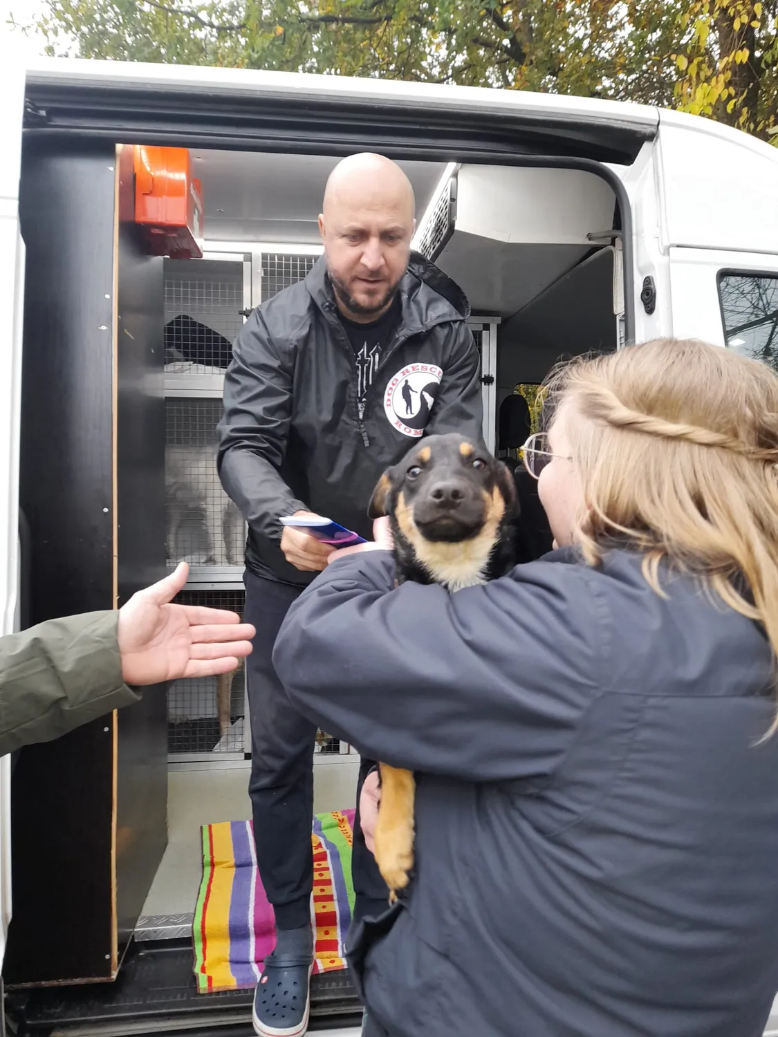 Hund im Glück e. V. – Tierschutzverein – Hunderettung